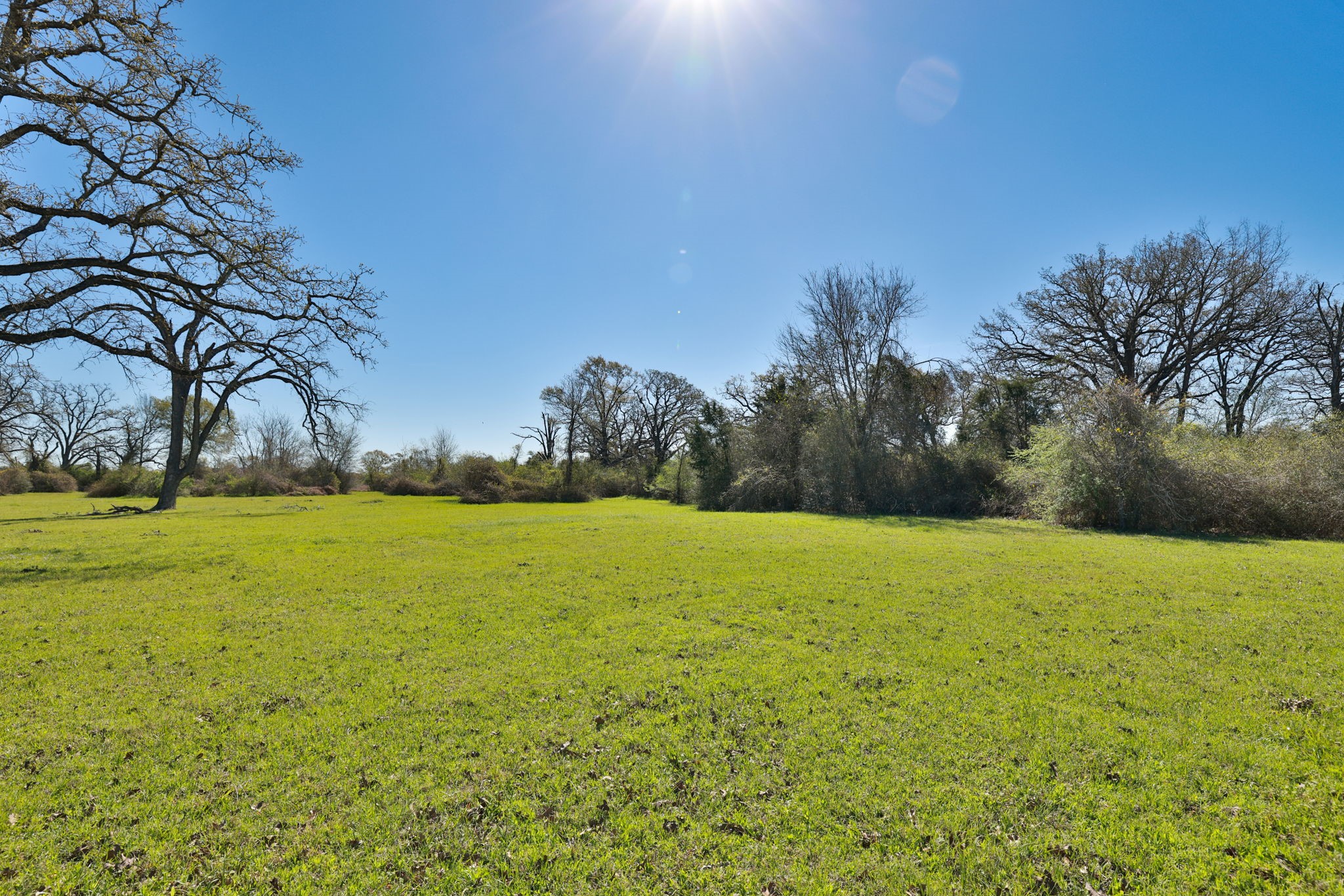 21100 Telephone Road Hempstead, TX 77445 - Photo 9 of 34 a view of outdoor space and yard