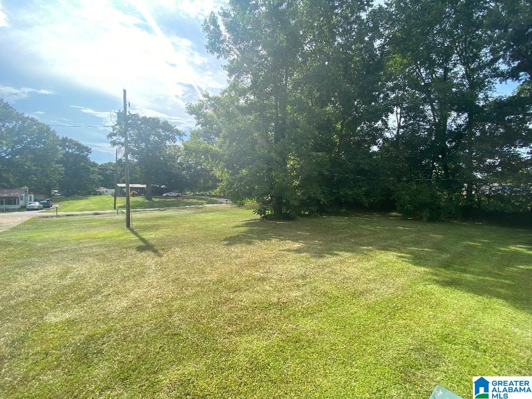 126 Sanders Road Jasper, AL 35504 - Photo 25 of 31