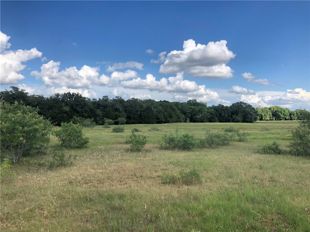 5 Knobbs Road McDade, TX 78650 - Photo 1 of 1 a view of an outdoor space and a yard