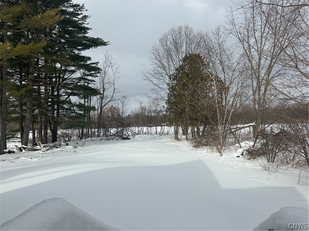 6279 Lamphear Road Rome, NY 13440 - Photo 39 of 39