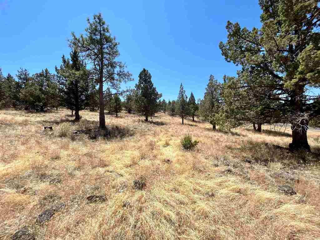 Unit 5-2 Lot 48 Browndeer Road Weed, CA 96094 - Photo 2 of 7 Gallery Image 2