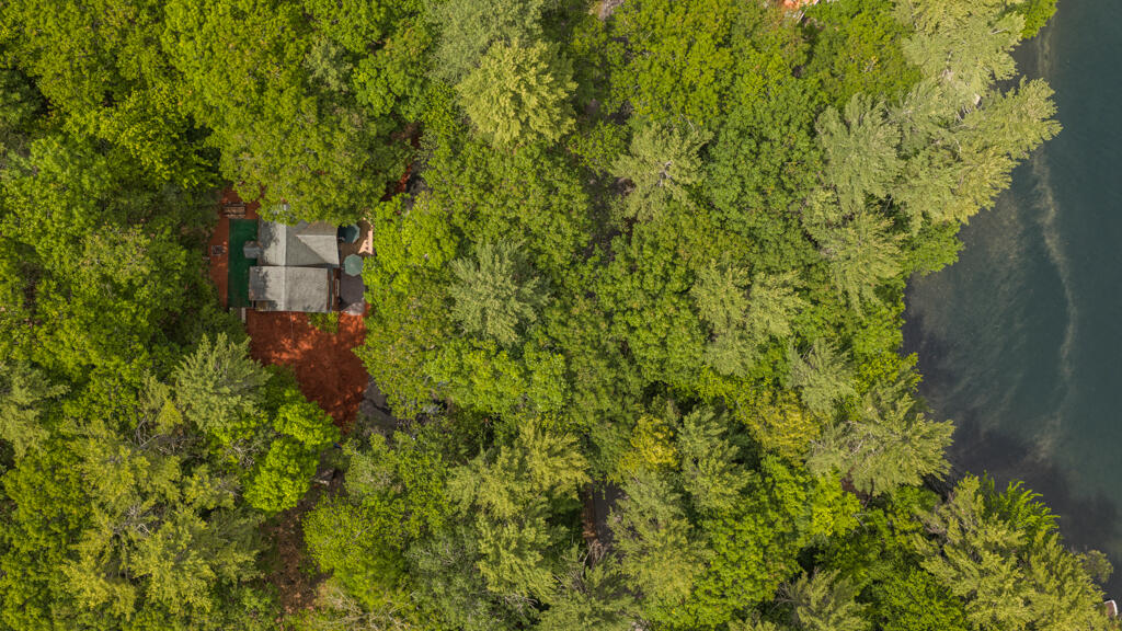 90 Trickey Pond Road Naples, ME 04055 - Photo 16 of 63 DJI_20260608141139_0124_D