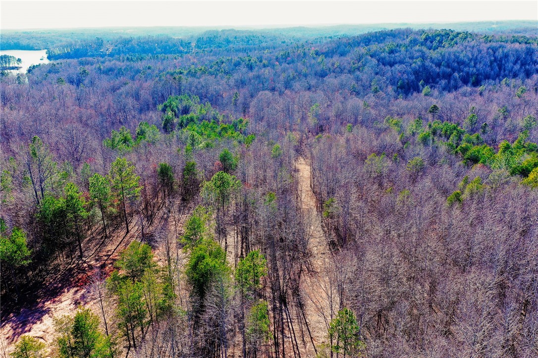 340 Rock Hill Road Fair Play, SC 29643 - Photo 2 of 28 Gallery Image 2