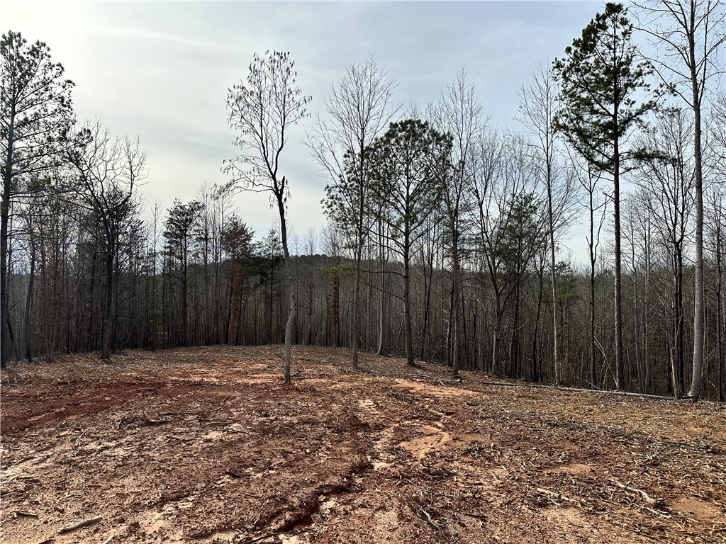 340 Rock Hill Road Fair Play, SC 29643 - Photo 24 of 28 Gallery Image 24