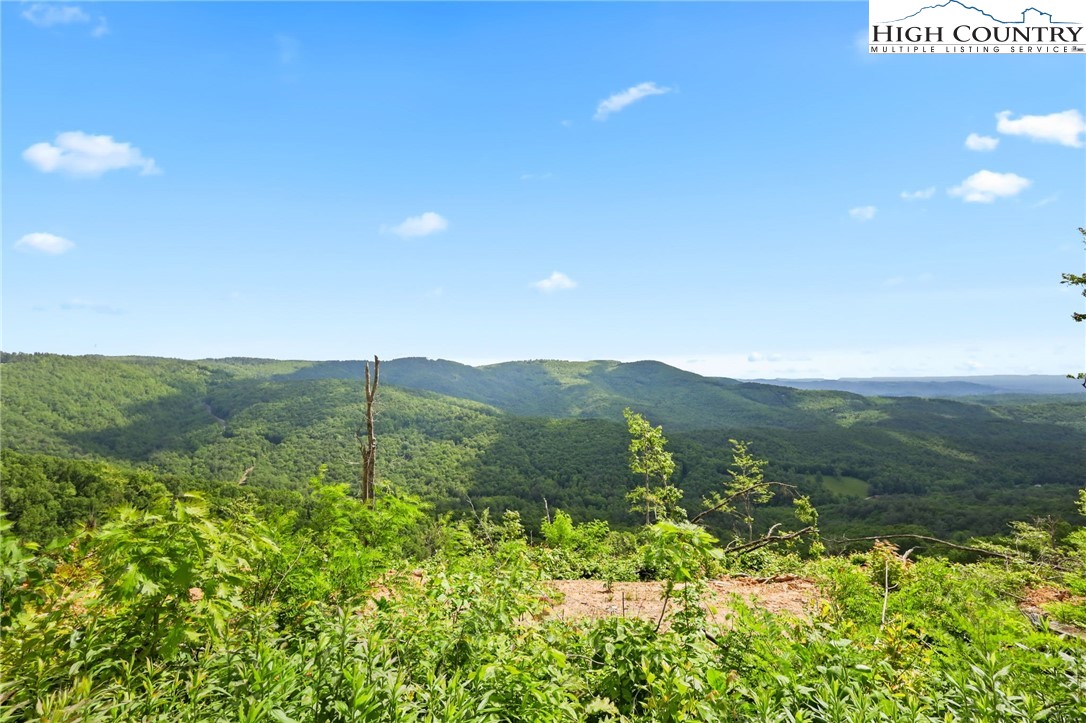 151 Cascade Drive Purlear, NC 28665 - Photo 23 of 46