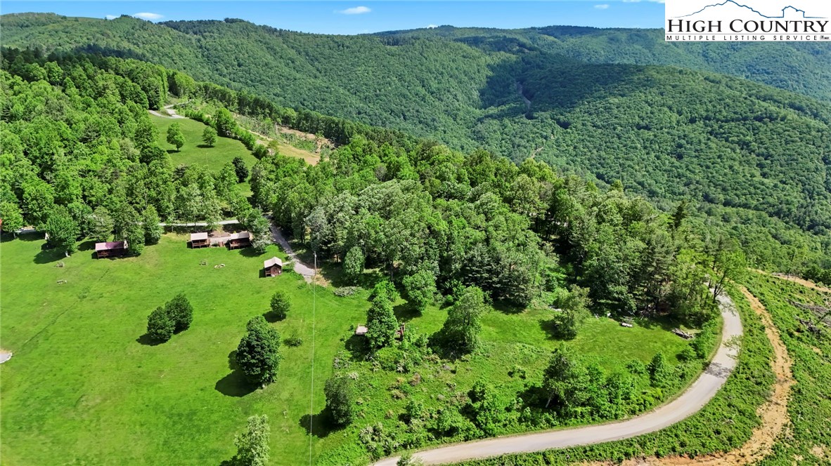 151 Cascade Drive Purlear, NC 28665 - Photo 25 of 46