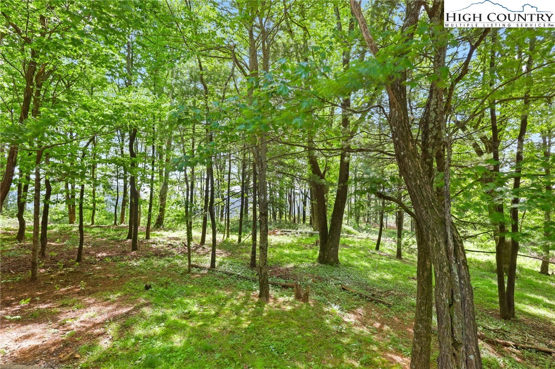 151 Cascade Drive Purlear, NC 28665 - Photo 27 of 46