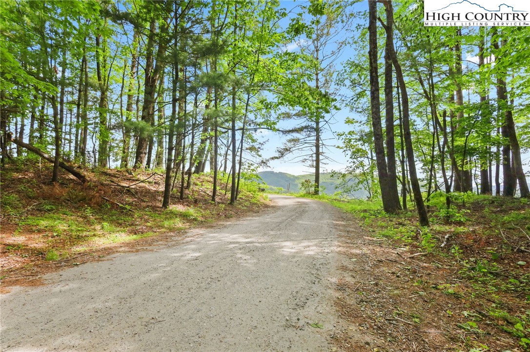 151 Cascade Drive Purlear, NC 28665 - Photo 28 of 46