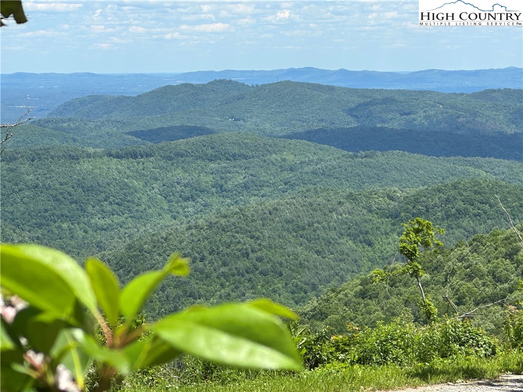 151 Cascade Drive Purlear, NC 28665 - Photo 3 of 46