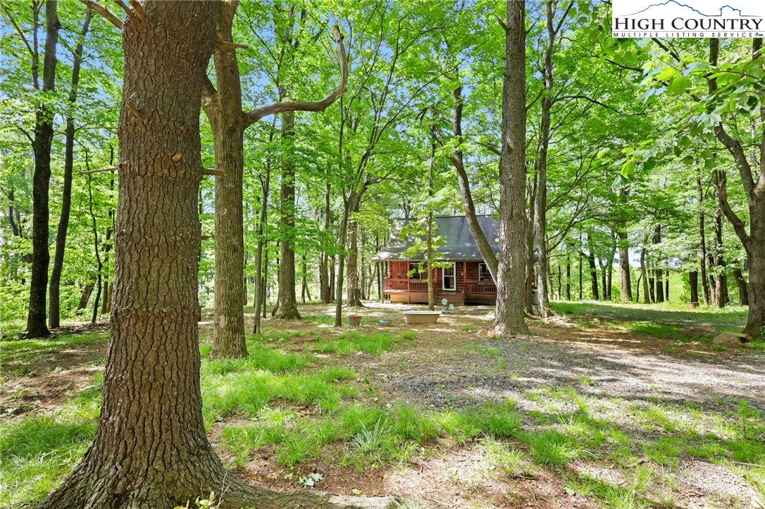 151 Cascade Drive Purlear, NC 28665 - Photo 32 of 46