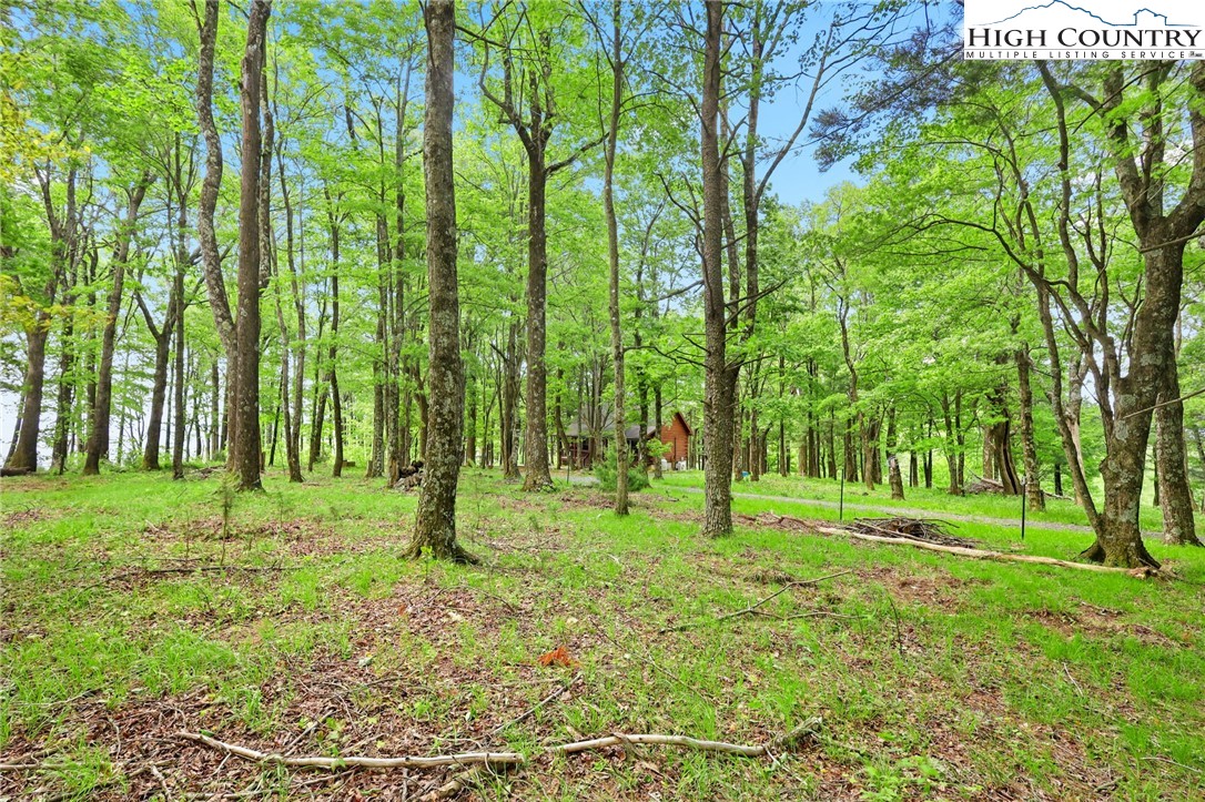 151 Cascade Drive Purlear, NC 28665 - Photo 34 of 46