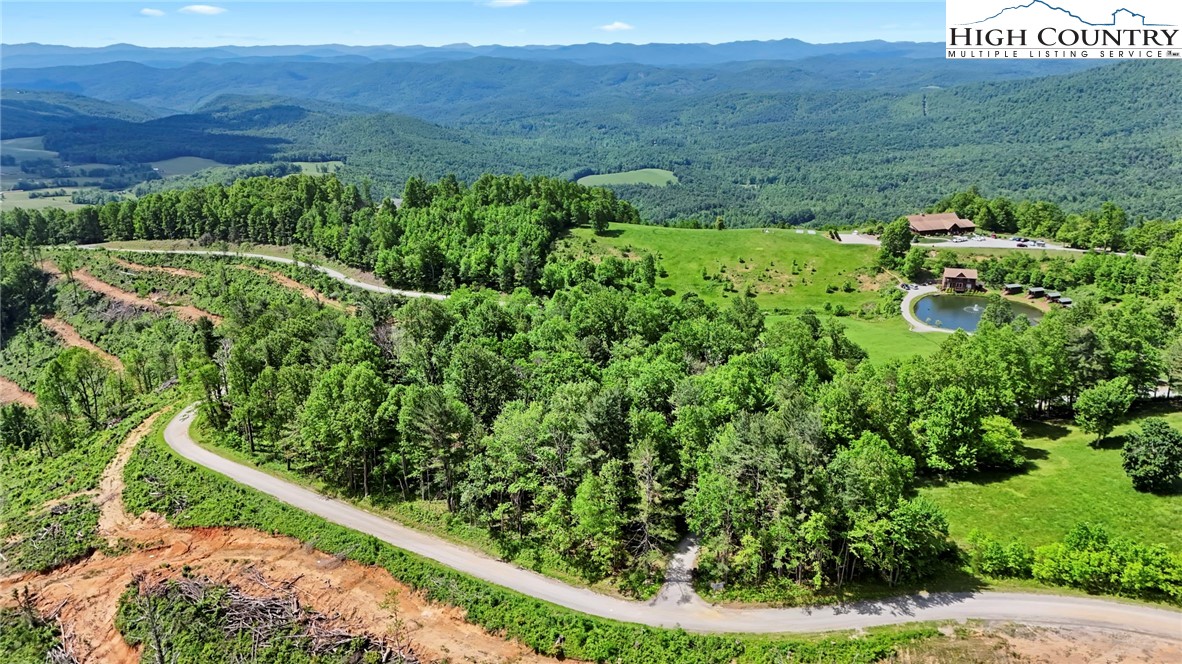 151 Cascade Drive Purlear, NC 28665 - Photo 40 of 46