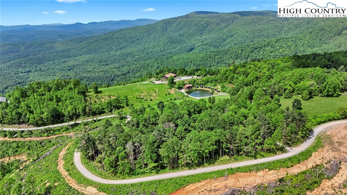 151 Cascade Drive Purlear, NC 28665 - Photo 41 of 46