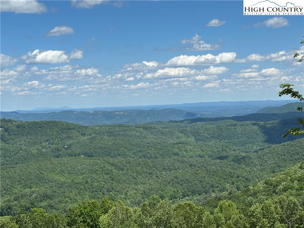 151 Cascade Drive Purlear, NC 28665 - Photo 44 of 46