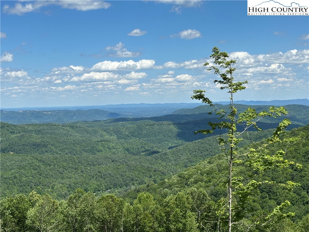 151 Cascade Drive Purlear, NC 28665 - Photo 45 of 46