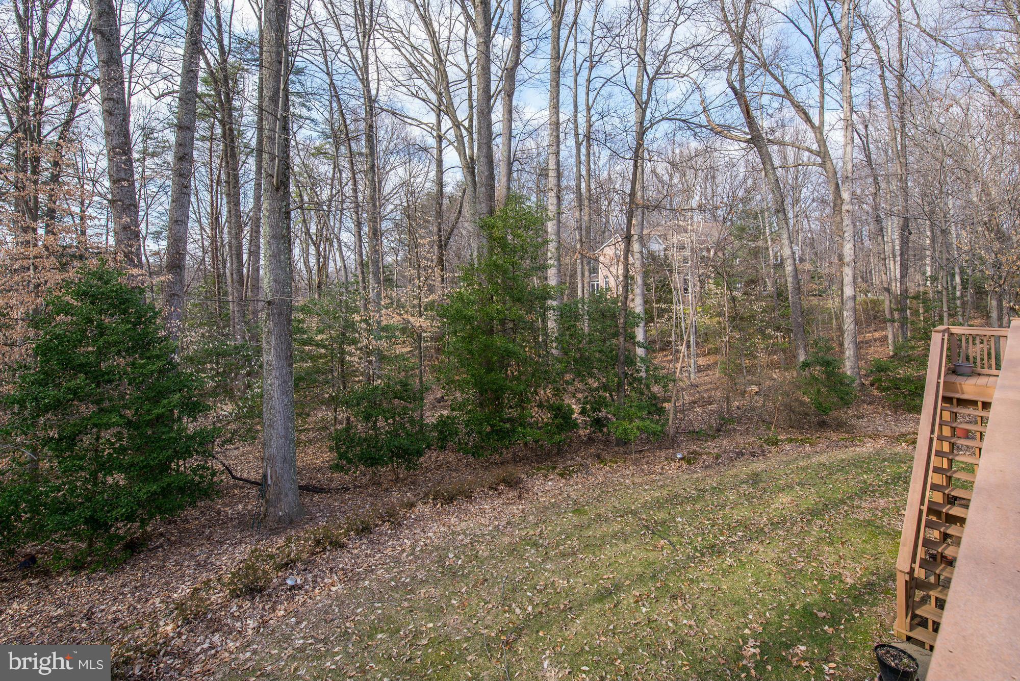 11634 Chapel Road Clifton, VA 20124 - Photo 28 of 30 Exterior (Rear)