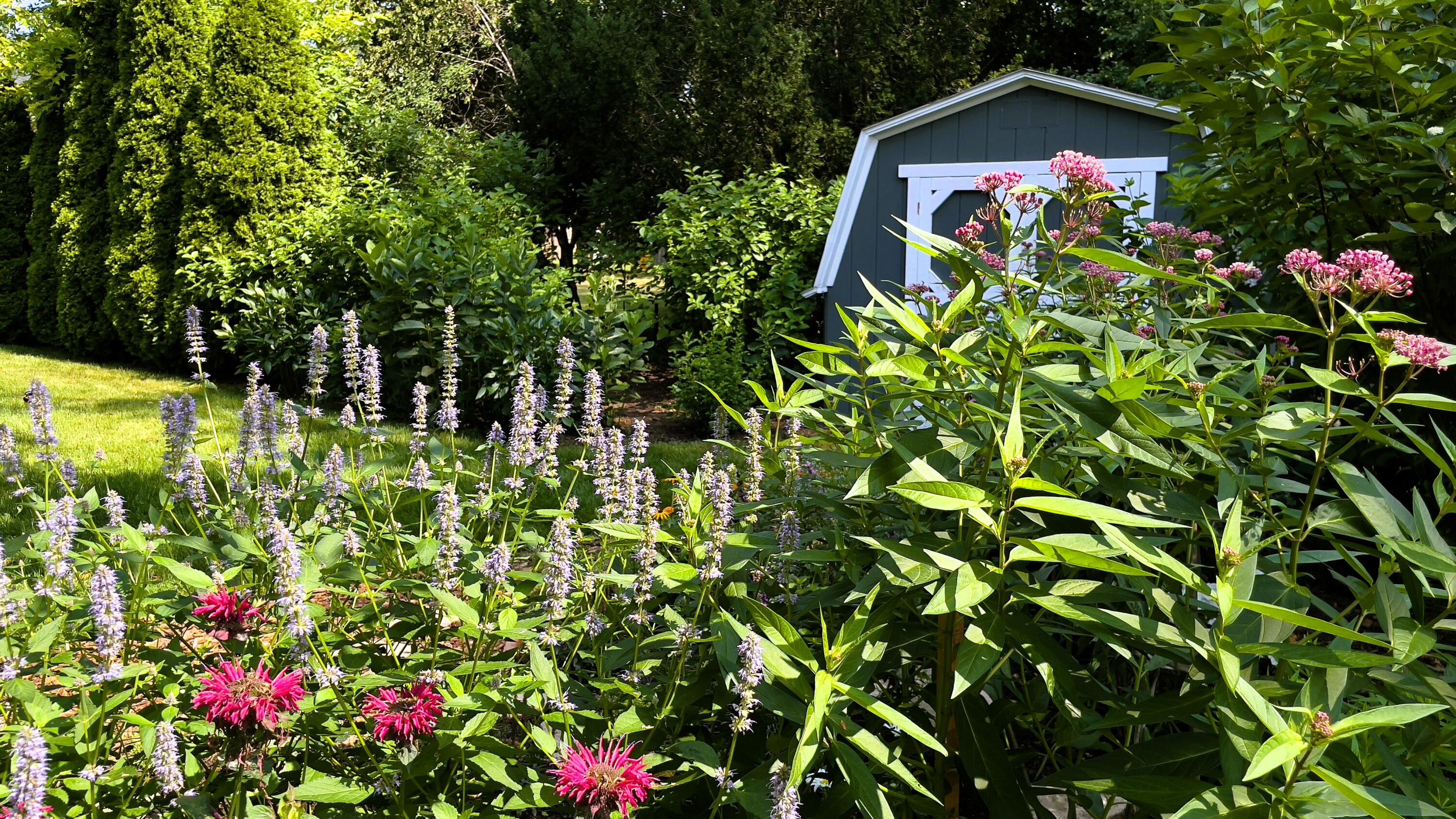 8160 North 37th Street Brown Deer, WI 53209 - Photo 11 of 30 Shed and pollinator garden