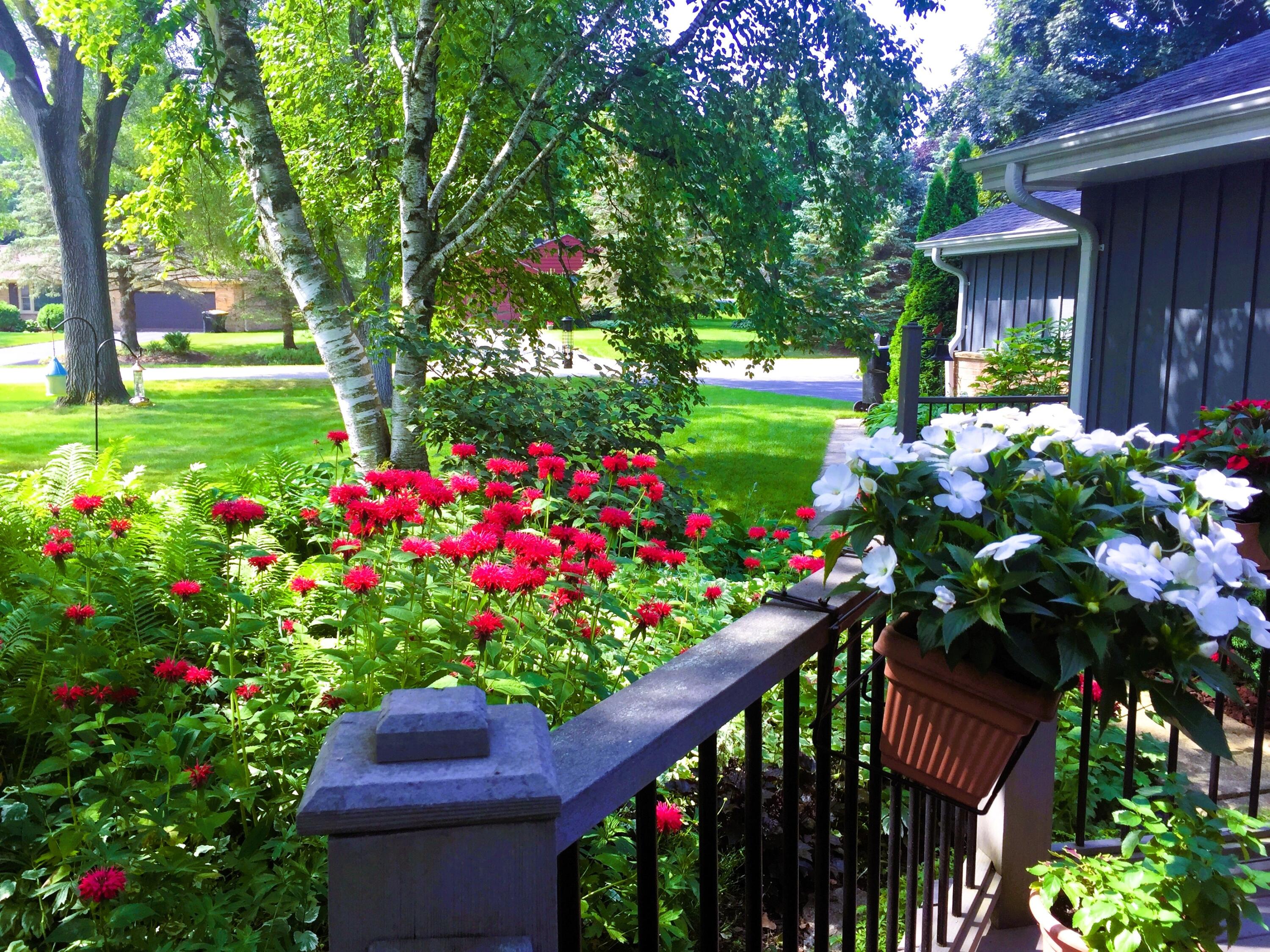8160 North 37th Street Brown Deer, WI 53209 - Photo 5 of 30 Deck area garden 2
