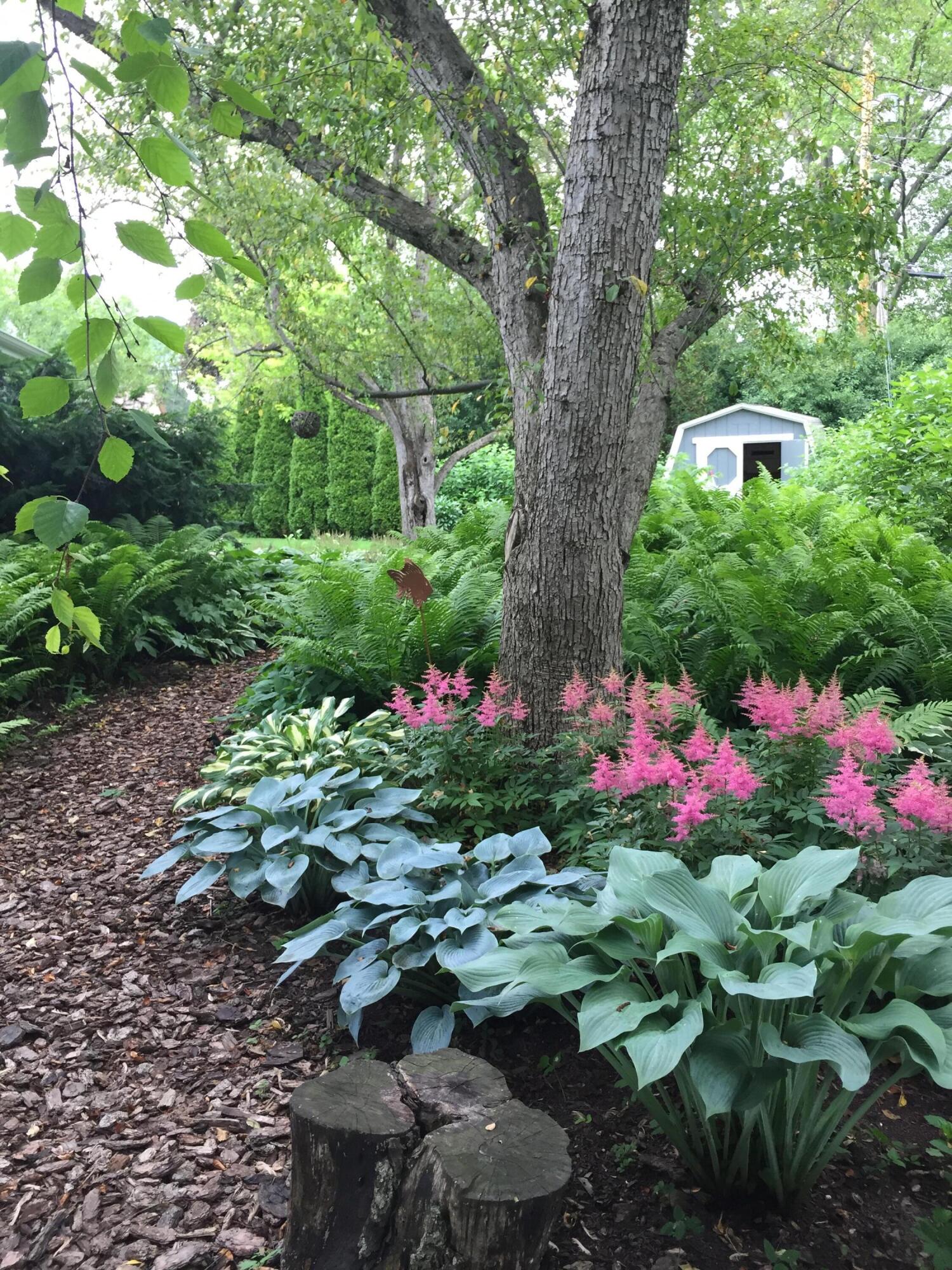 8160 North 37th Street Brown Deer, WI 53209 - Photo 10 of 30 shade garden2