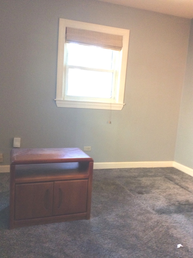 10309 Barnard Drive Chicago Ridge, IL 60415 - Photo 19 of 33 Gallery Image 19