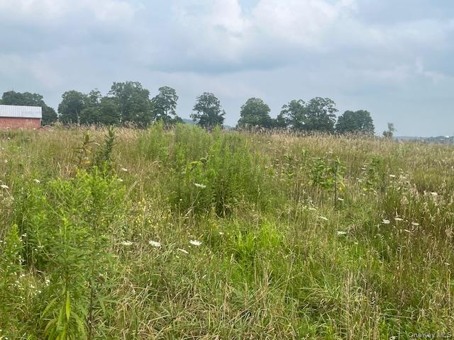 1820 County Route 7 Ancram, NY 12502 - Photo 27 of 31 a view of a lake with a yard