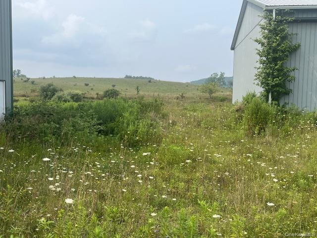 1820 County Route 7 Ancram, NY 12502 - Photo 28 of 31 a view of a lush green space with sea