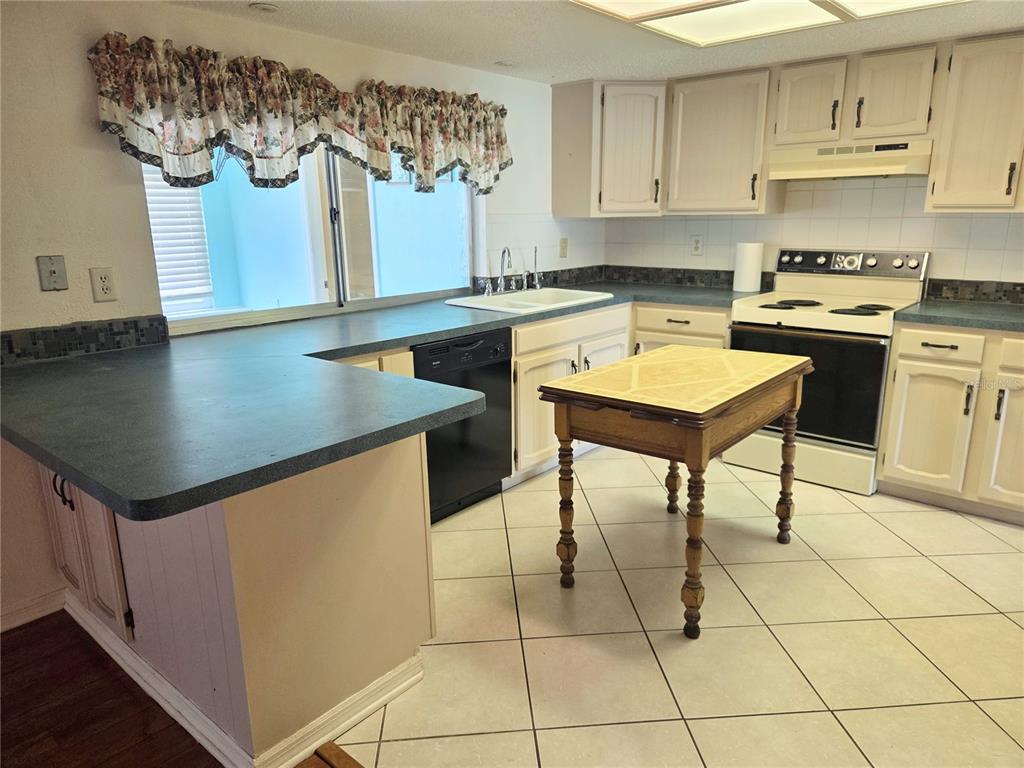 9233 Geneva Street Spring Hill, FL 34608 - Photo 5 of 21
