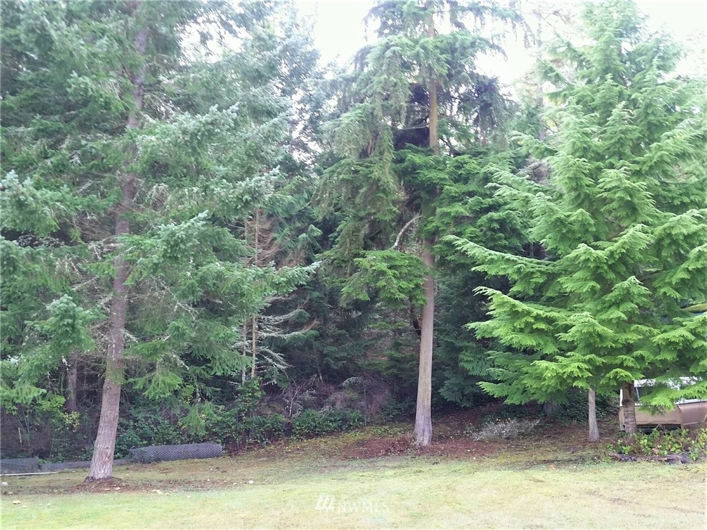 282 Rhododendron Drive Sequim, WA 98382 - Photo 24 of 25 Gallery Image 24