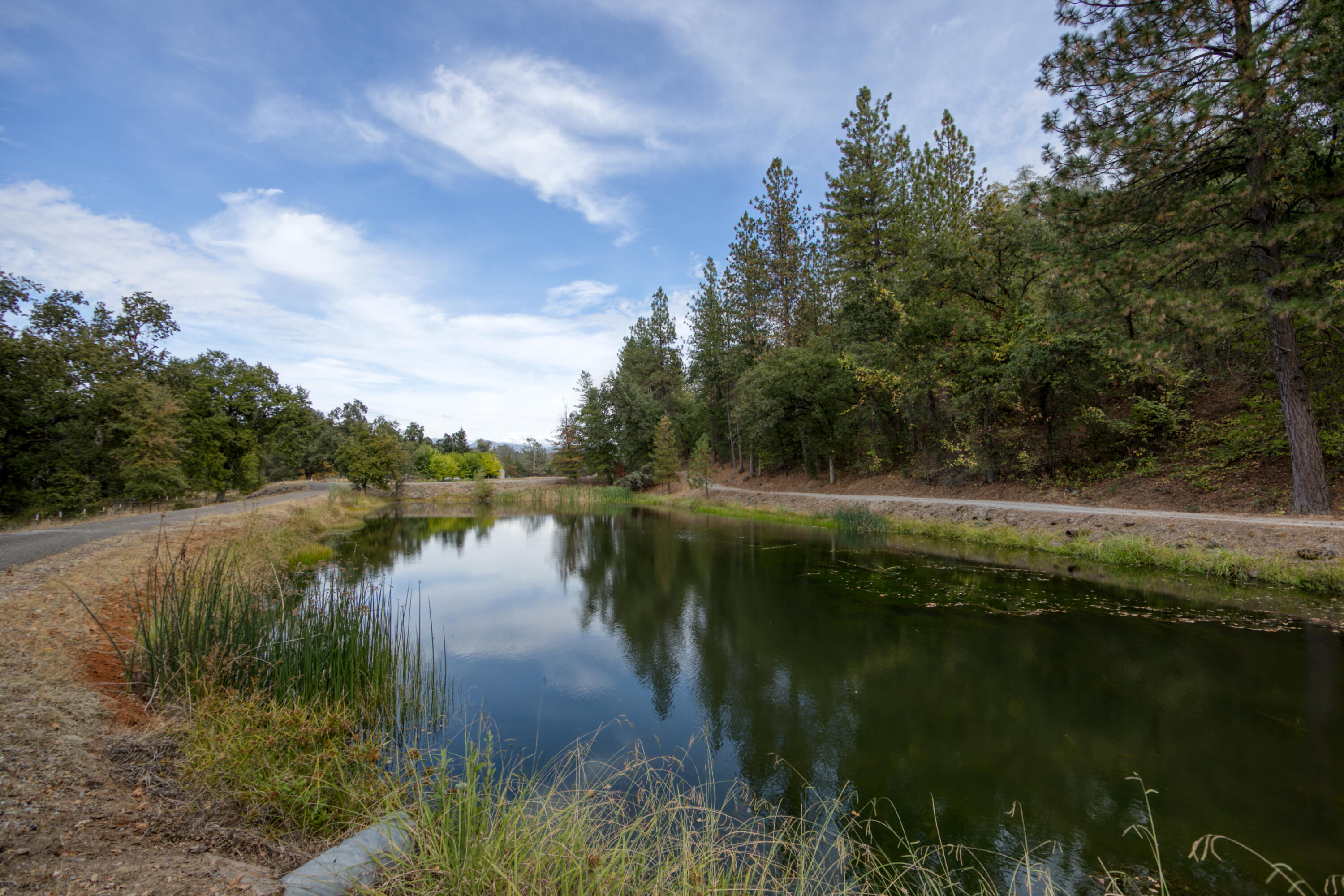 28914 Whitmore Road Whitmore, CA 96096 - Photo 113 of 187 Year-Round Ponds