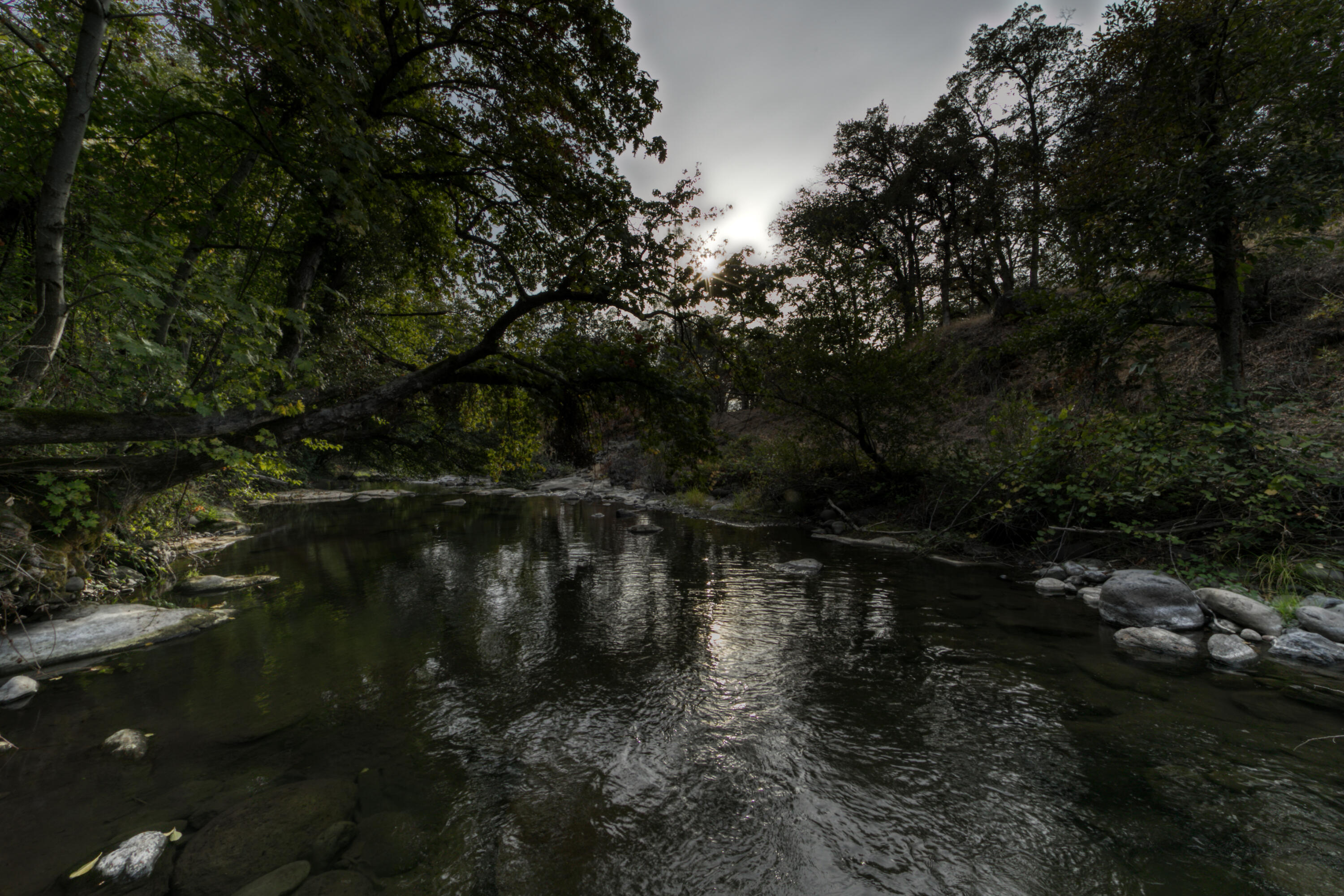 28914 Whitmore Road Whitmore, CA 96096 - Photo 134 of 187 Twilight by Cow Creek