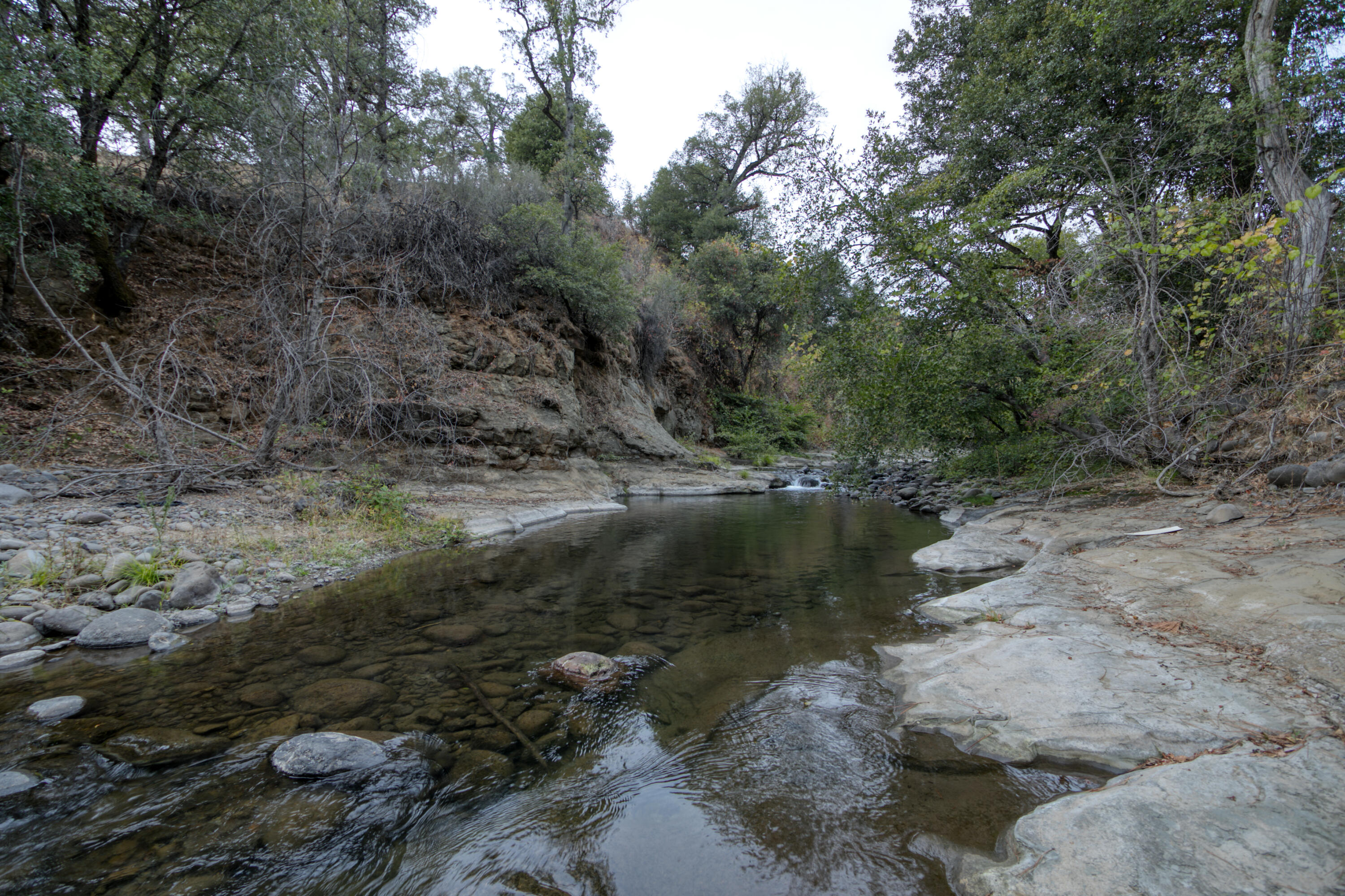 28914 Whitmore Road Whitmore, CA 96096 - Photo 138 of 187 Twilight by Cow Creek