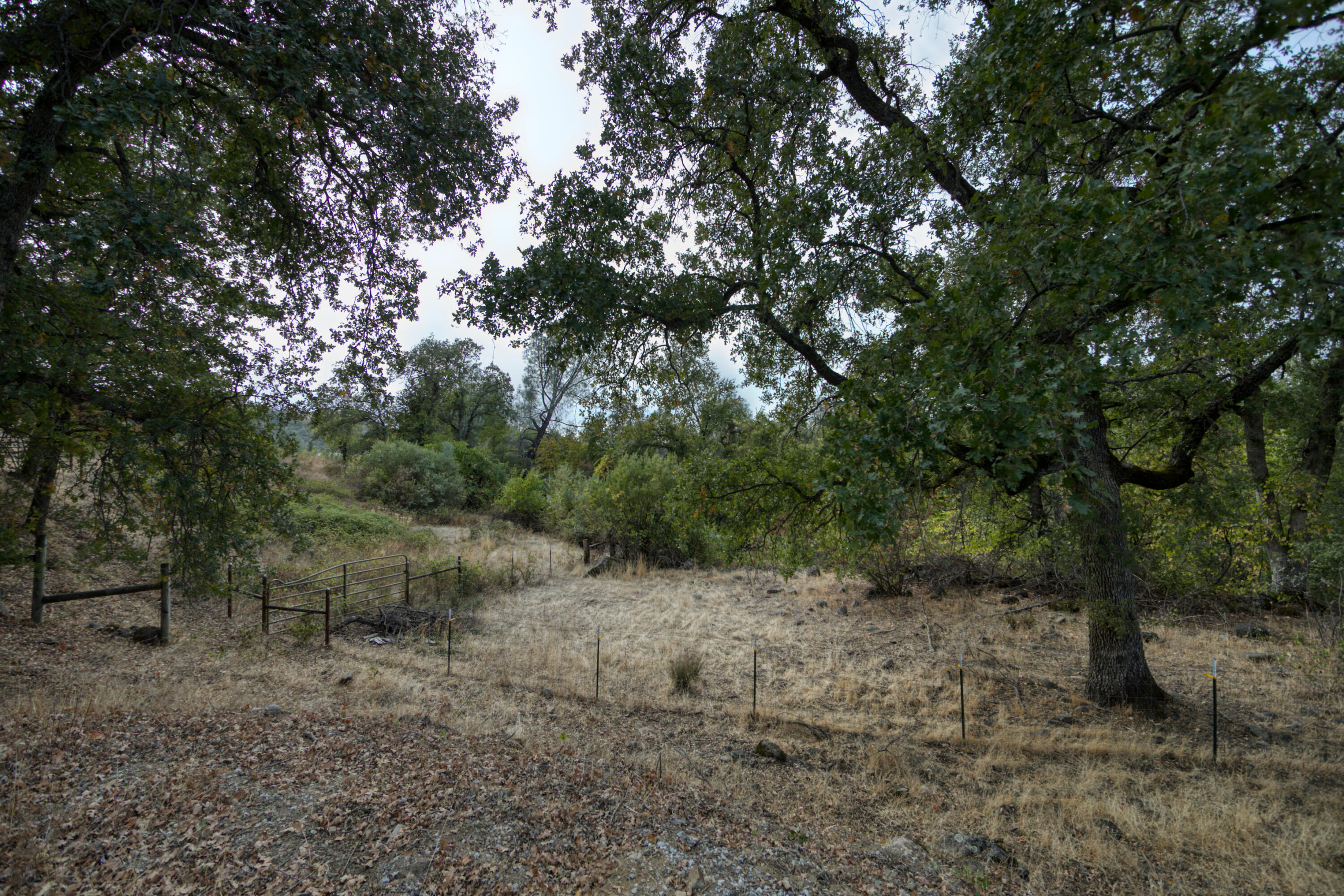 28914 Whitmore Road Whitmore, CA 96096 - Photo 147 of 187 Fenced Property