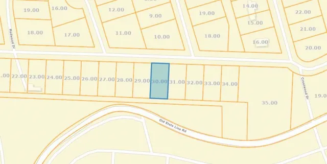 $9,999 | 1170 Edgewood Drive, Saulsbury, TN 38067