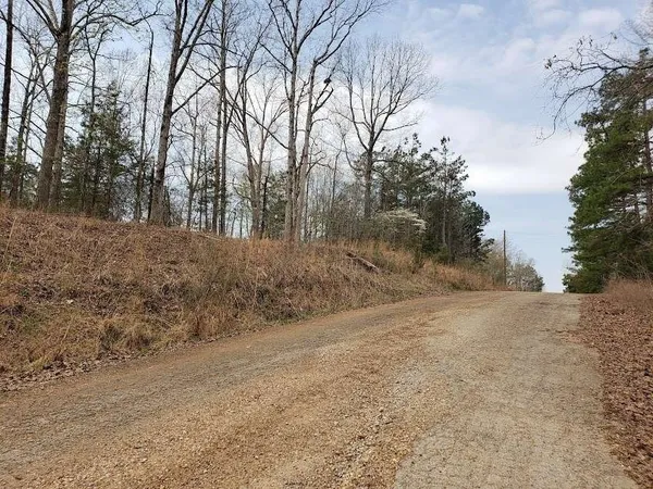 a view of a yard with trees