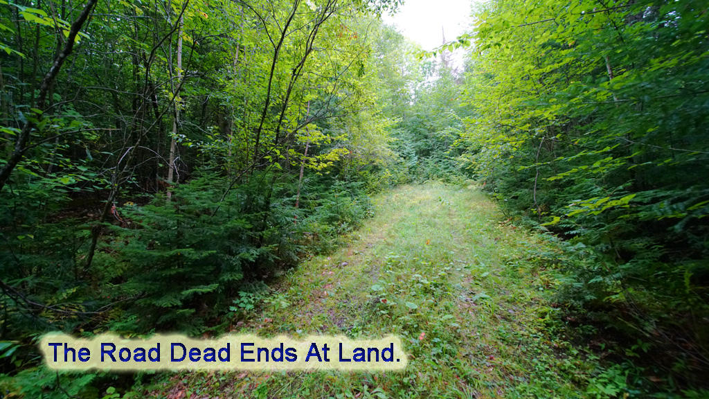 Lot 9-10 Lot Road Danforth, ME 04424 - Photo 5 of 25 roadway-deademds-lots9,10