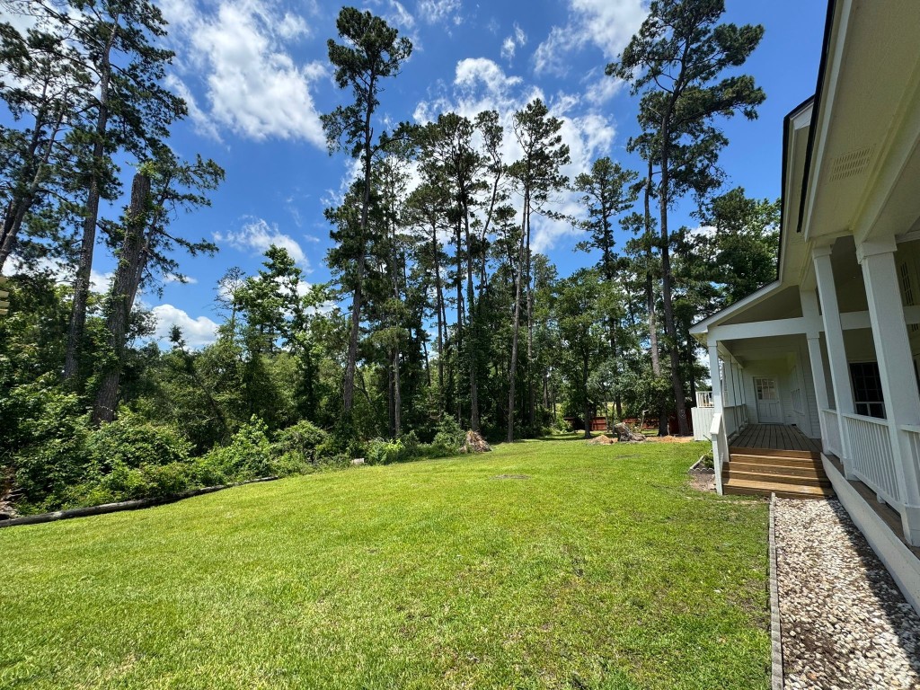 27165 Kestrel Trail Magnolia, TX 77354 - Photo 43 of 50