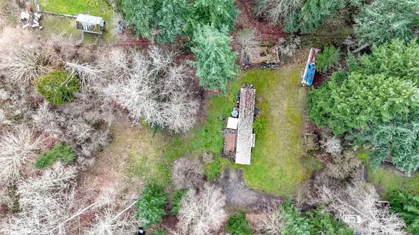 a view of a yard with plants