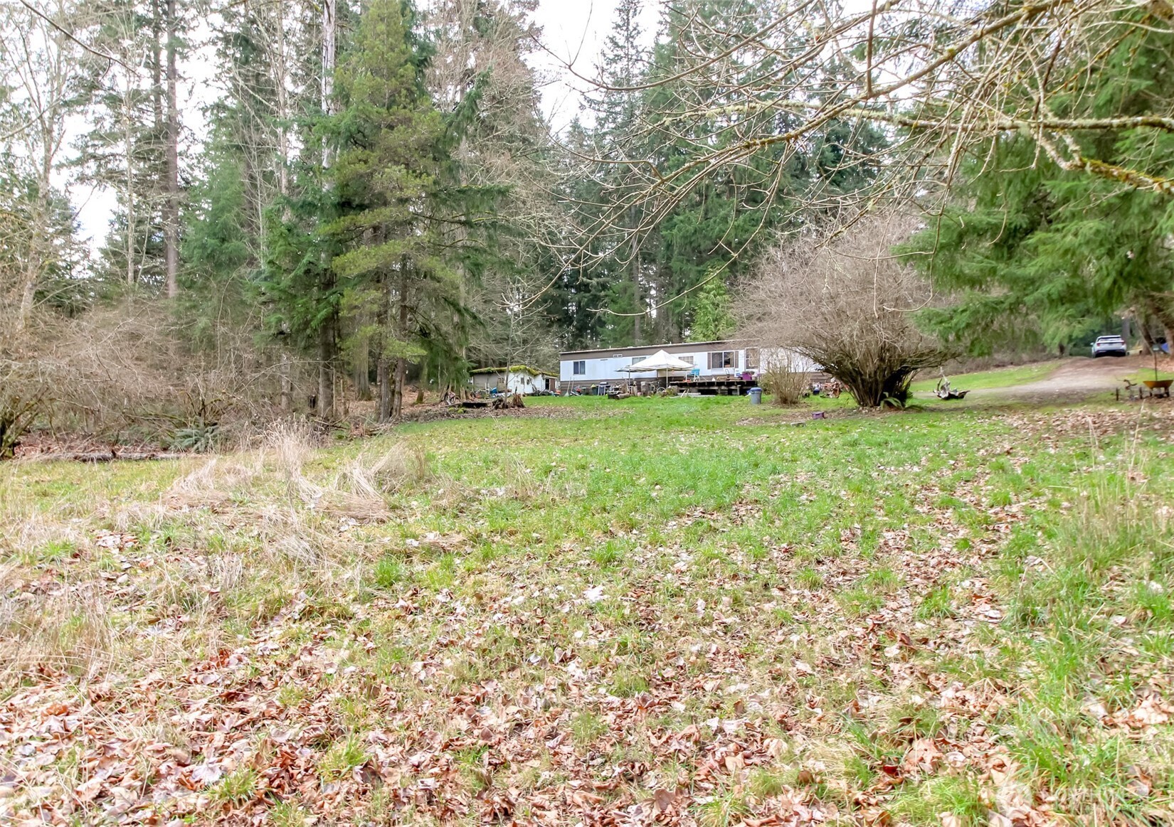 7308 335th St Court South Roy, WA 98580 - Photo 11 of 21 a fire hydrant in the middle of a field
