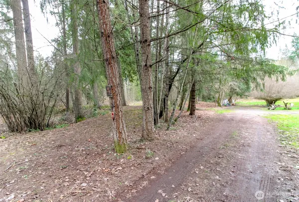 a view of a yard with large trees