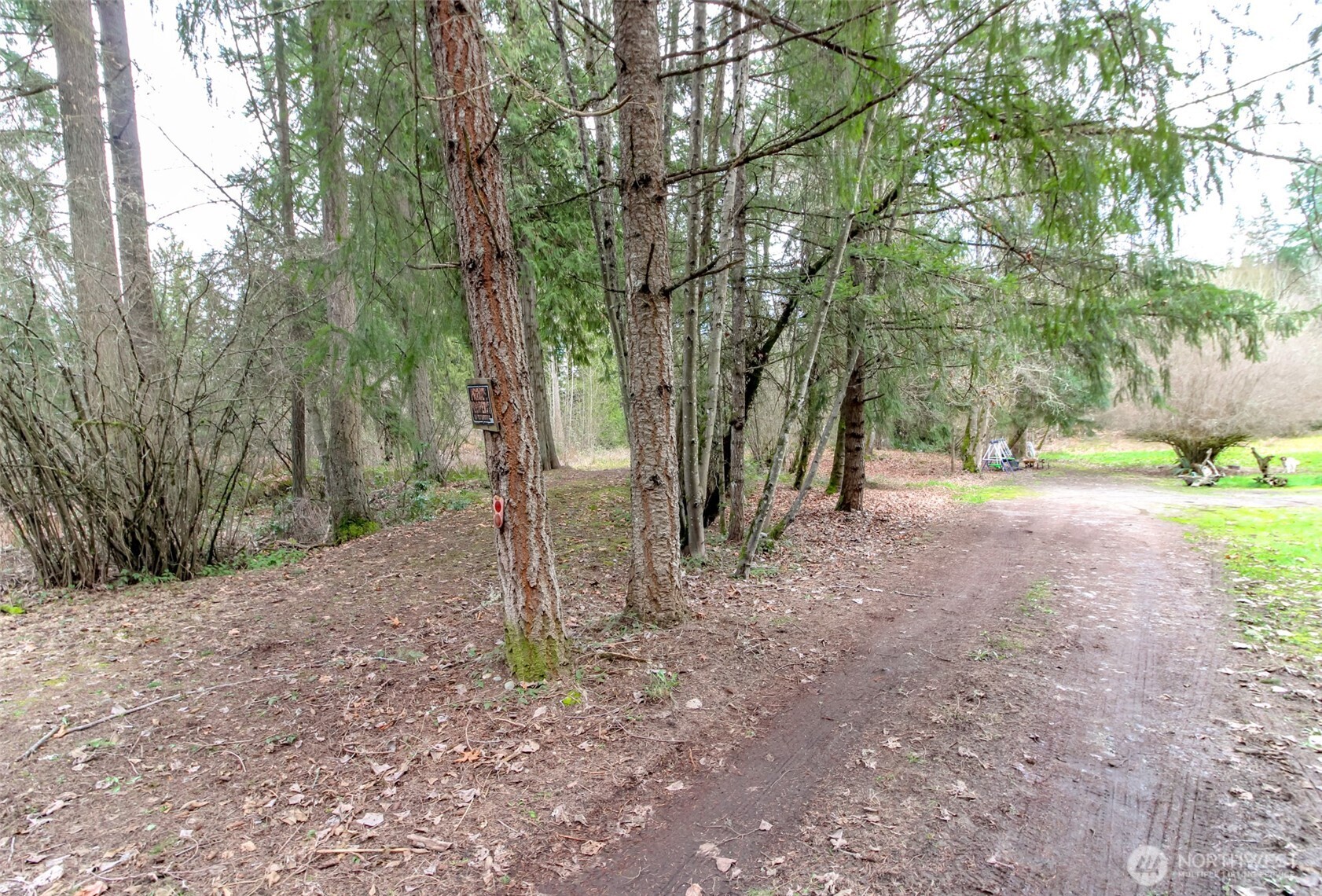 7308 335th St Court South Roy, WA 98580 - Photo 12 of 21 a view of a forest with trees