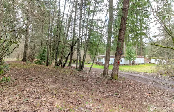 a big yard with lots of green space and deers
