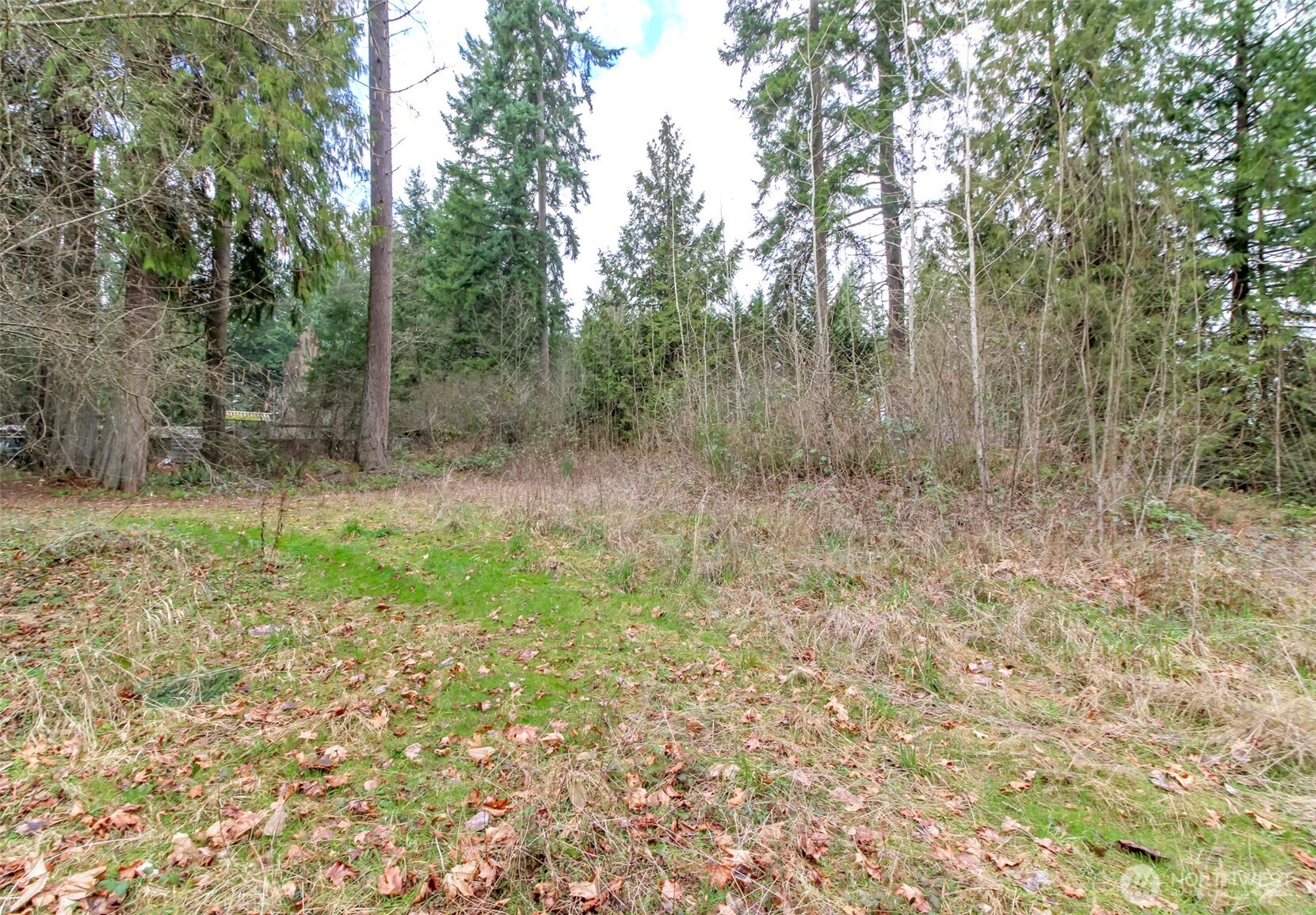7308 335th St Court South Roy, WA 98580 - Photo 14 of 21 a big yard with lots of green space and deers