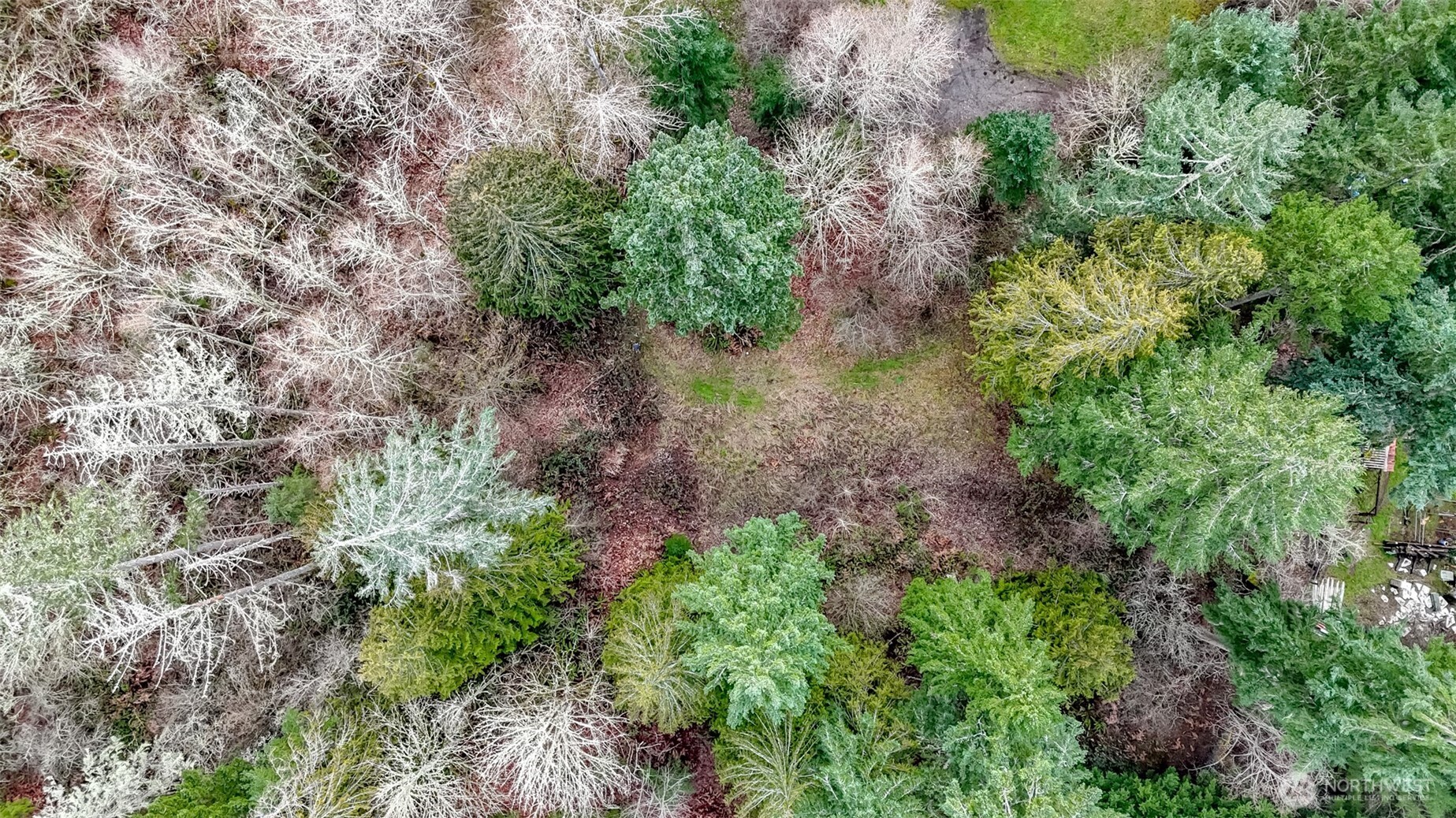 7308 335th St Court South Roy, WA 98580 - Photo 15 of 21 a view of a garden with plants