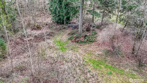 a view of a yard with plants