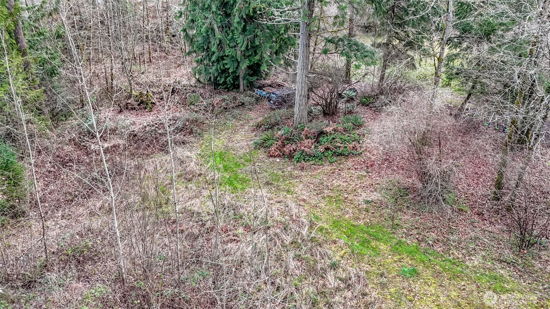 7308 335th St Court South Roy, WA 98580 - Photo 19 of 21 a view of a yard with large trees