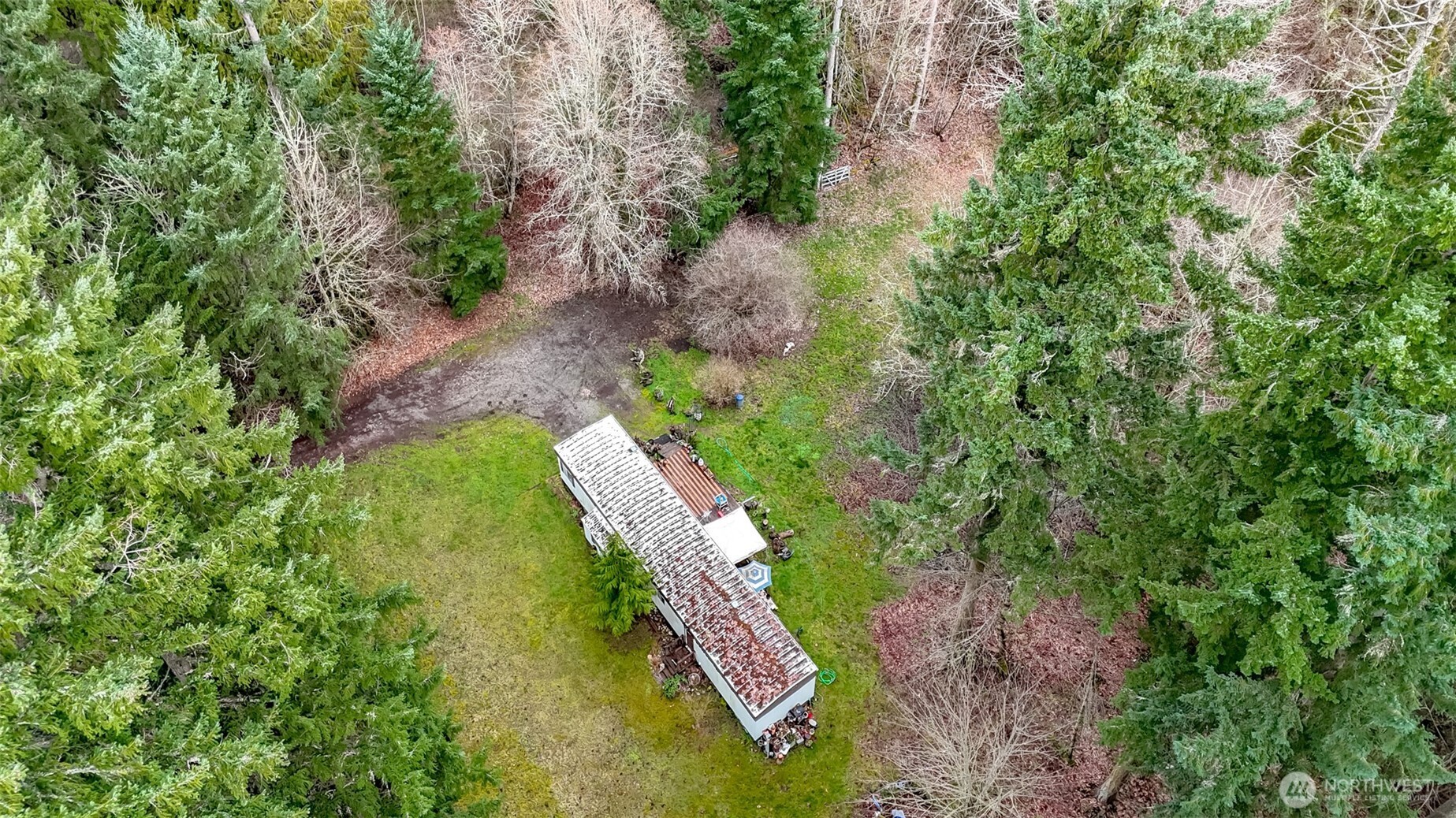 7308 335th St Court South Roy, WA 98580 - Photo 20 of 21 a view of a yard with plants