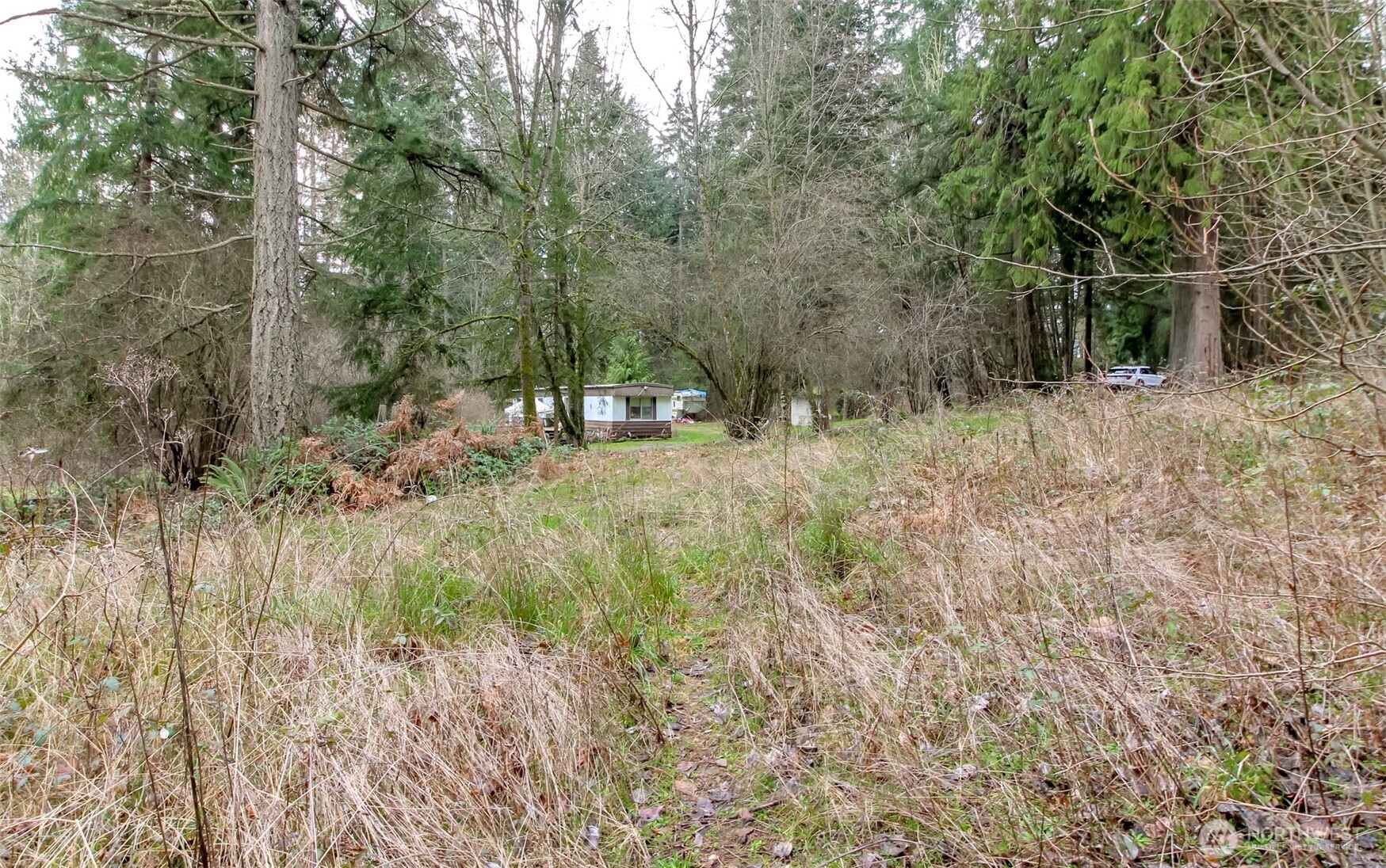 7308 335th St Court South Roy, WA 98580 - Photo 21 of 21 a view of a forest filled with trees