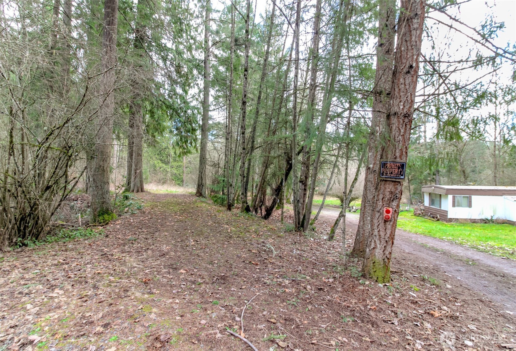 7308 335th St Court South Roy, WA 98580 - Photo 5 of 21 a backyard of a house with lots of green space