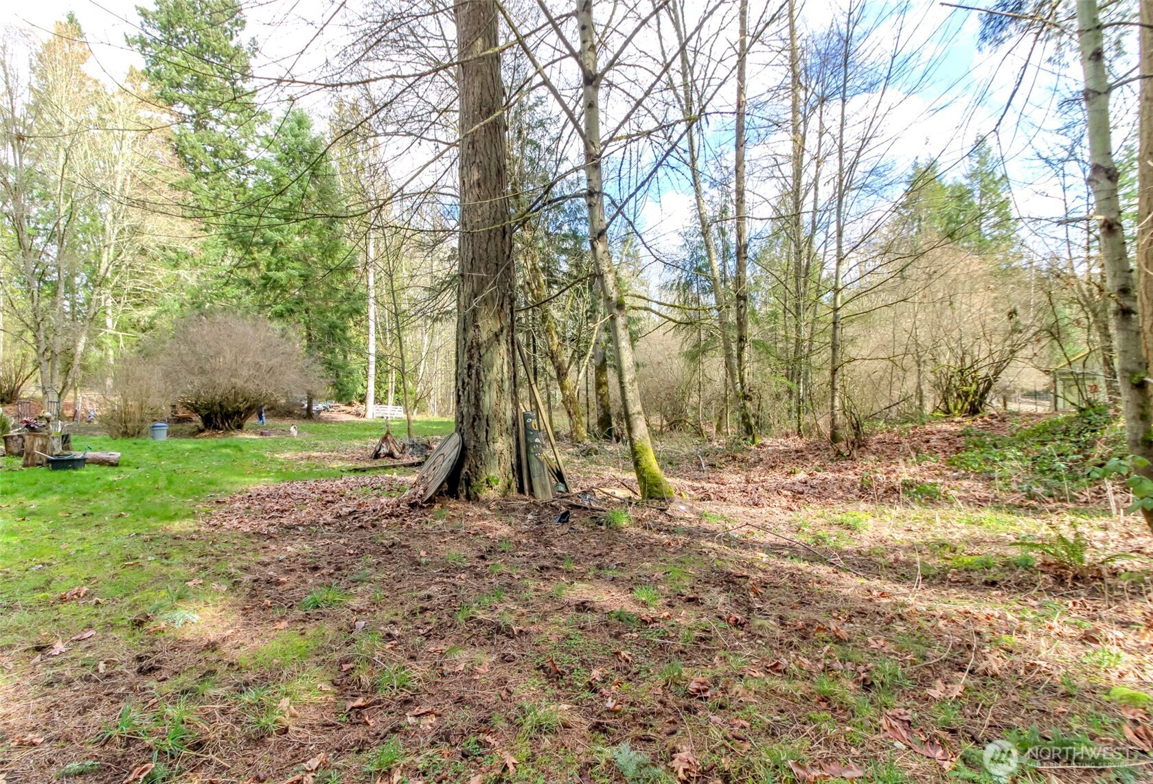 7308 335th St Court South Roy, WA 98580 - Photo 7 of 21