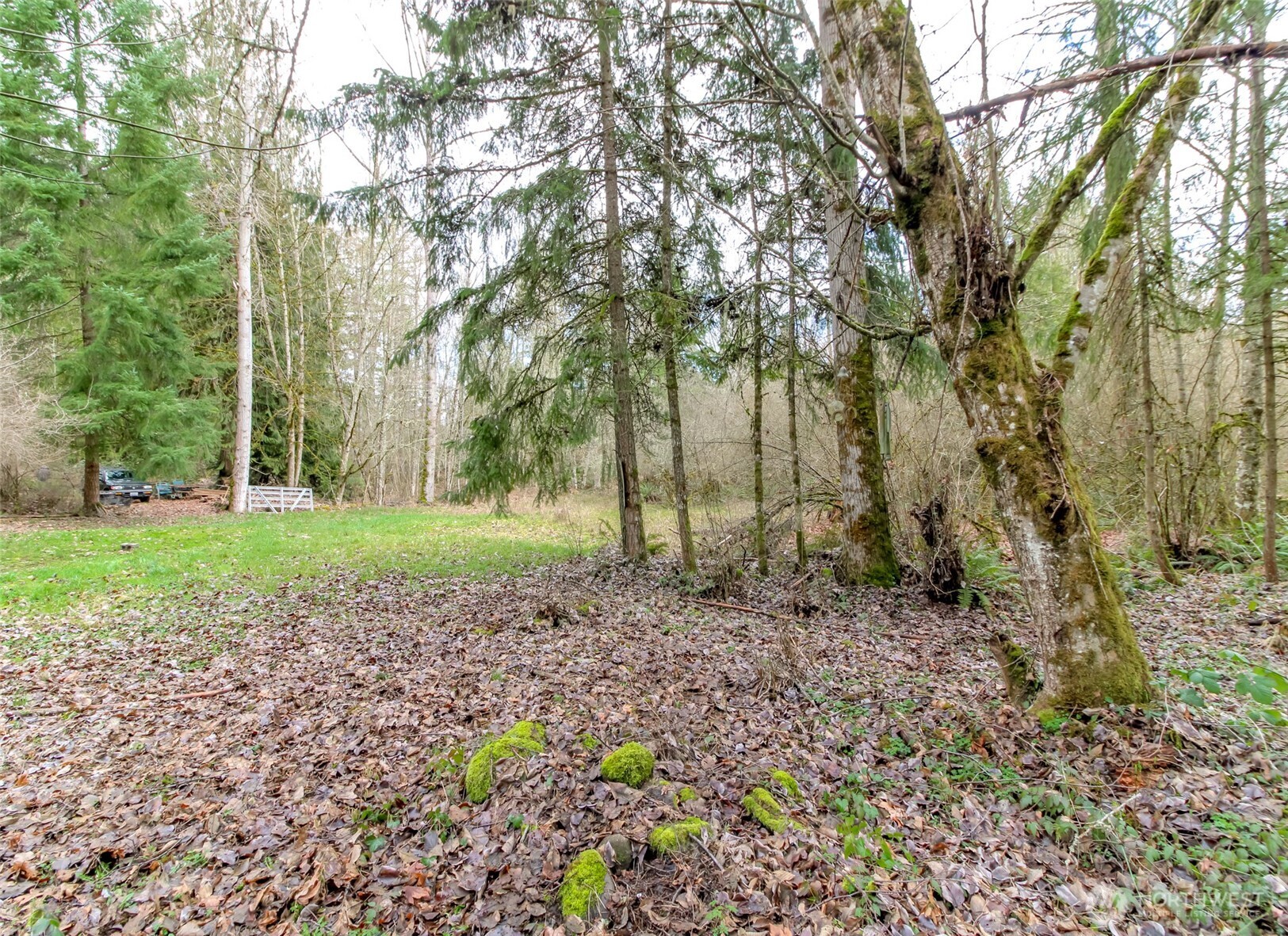 7308 335th St Court South Roy, WA 98580 - Photo 9 of 21 a view of a house with a yard